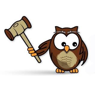 BiddingOwl Logo