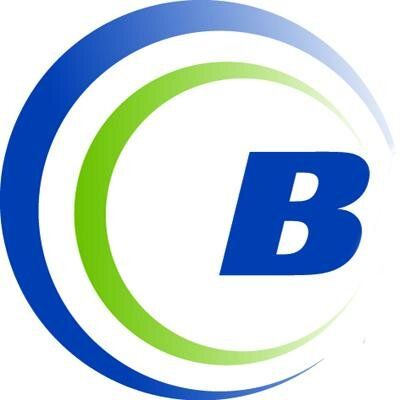 Birchstreet Systems Logo