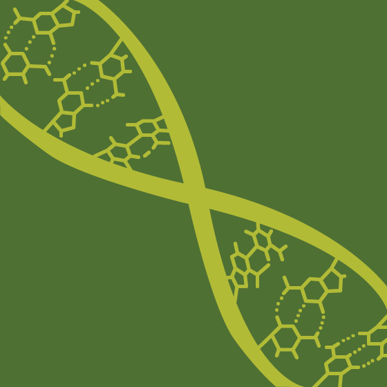 Genentech Logo