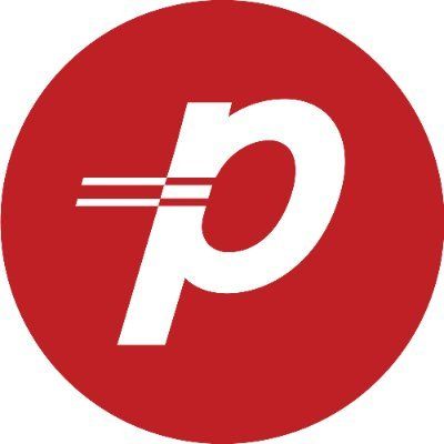 Payzer Logo