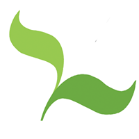Seedcamp Logo